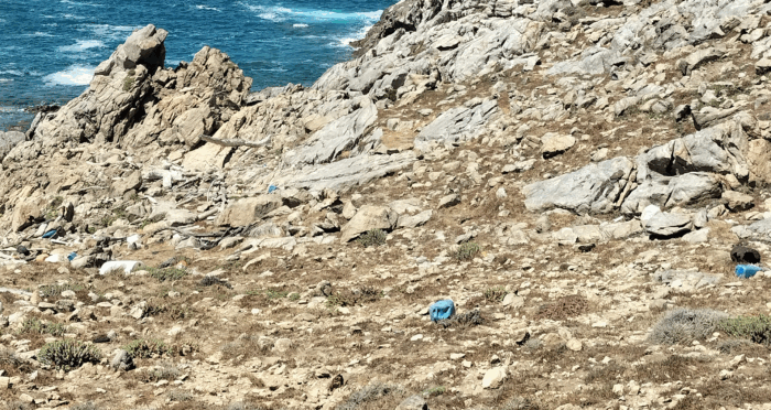 inquinamento plastica costa sarda